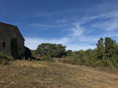 Azienda Agricola in vendita a Gavorrano