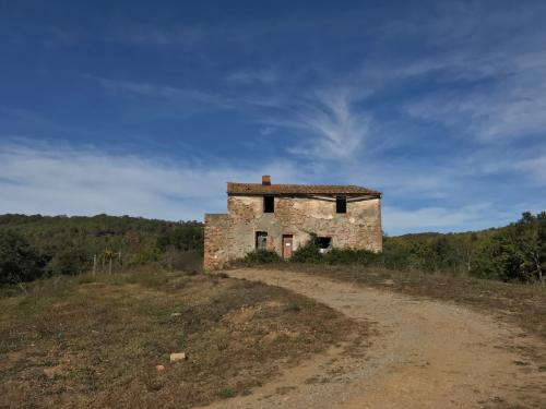 Azienda Agricola in vendita a Gavorrano