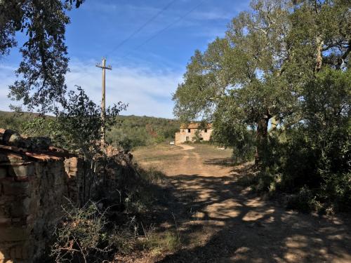 Azienda Agricola in vendita a Gavorrano