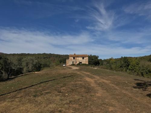 Azienda Agricola in vendita a Gavorrano