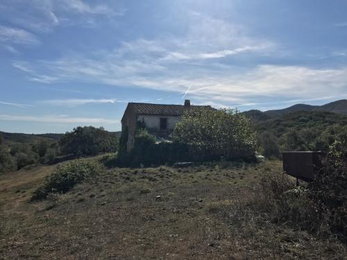 Azienda Agricola in vendita a Gavorrano