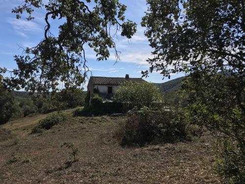 Azienda Agricola in vendita a Gavorrano