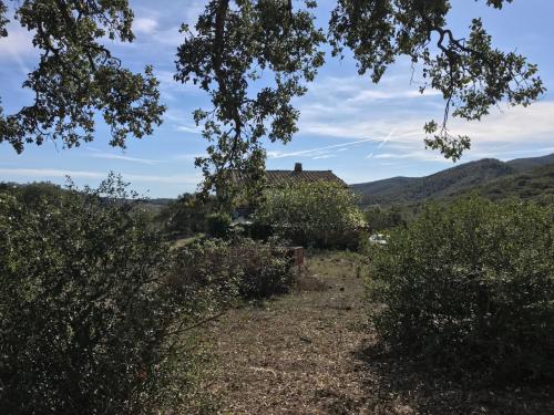 Azienda Agricola in vendita a Gavorrano