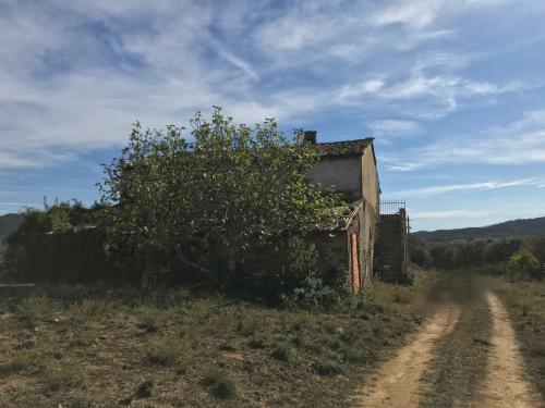 Azienda Agricola in vendita a Gavorrano