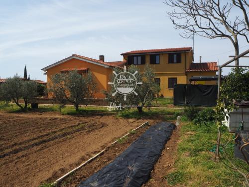 Azienda Agricola in vendita a Castiglione della Pescaia