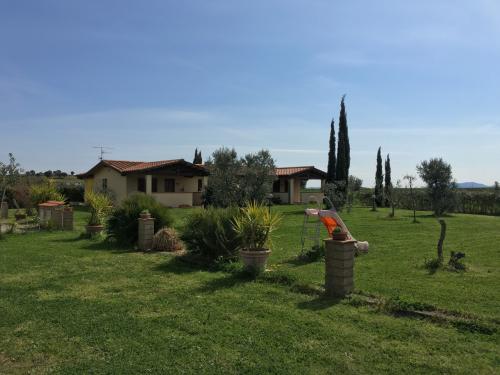 Azienda Agricola in vendita a Castiglione della Pescaia