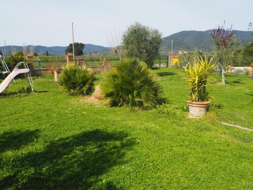 Azienda Agricola in vendita a Castiglione della Pescaia