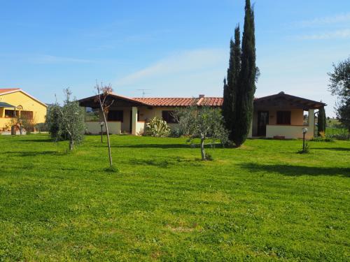 Azienda Agricola in vendita a Castiglione della Pescaia