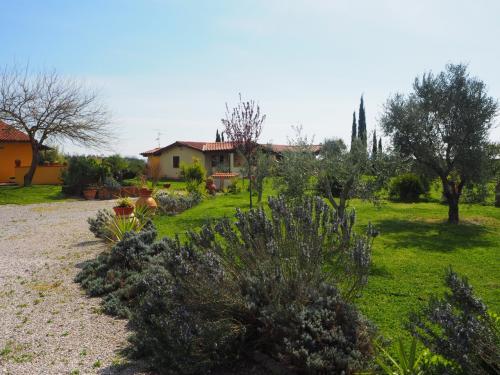 Azienda Agricola in vendita a Castiglione della Pescaia