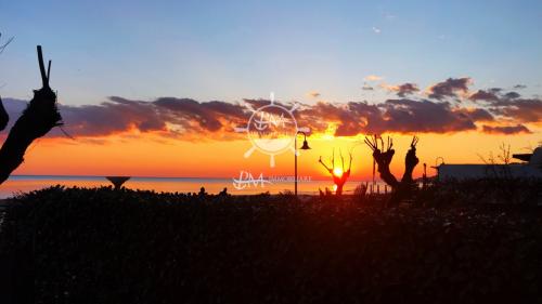 Appartamento in affitto a Castiglione della Pescaia