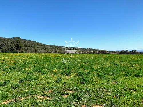 Terreno Agricolo in vendita a Castiglione della Pescaia