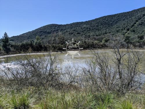 Terreno Agricolo in vendita a Castiglione della Pescaia