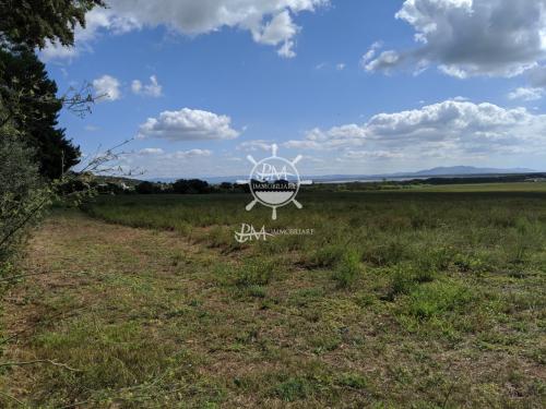 Terreno Agricolo in vendita a Castiglione della Pescaia