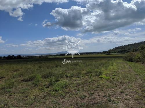 Terreno Agricolo in vendita a Castiglione della Pescaia