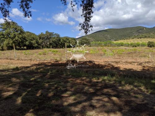 Terreno Agricolo in vendita a Castiglione della Pescaia