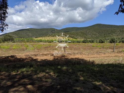 Terreno Agricolo in vendita a Castiglione della Pescaia