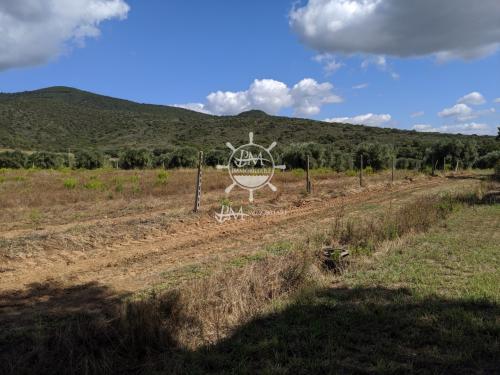 Terreno Agricolo in vendita a Castiglione della Pescaia