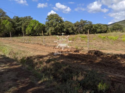 Terreno Agricolo in vendita a Castiglione della Pescaia