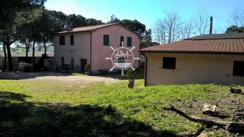 Azienda Agricola in vendita a Scansano