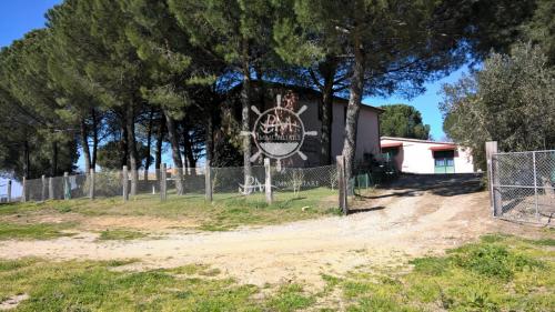 Azienda Agricola in vendita a Scansano