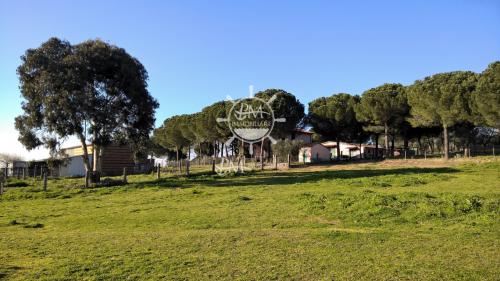 Azienda Agricola in vendita a Scansano