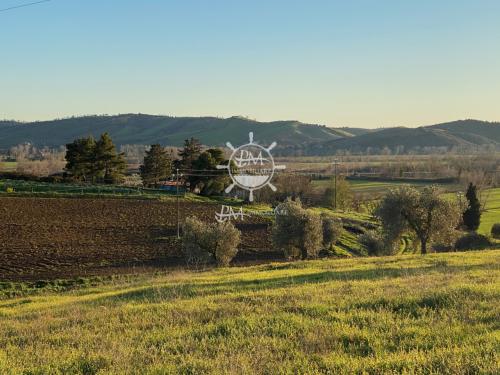 Cascina/Casale/Masseria in vendita a Grosseto