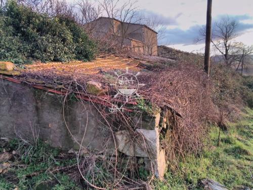 Cascina/Casale/Masseria in vendita a Manciano