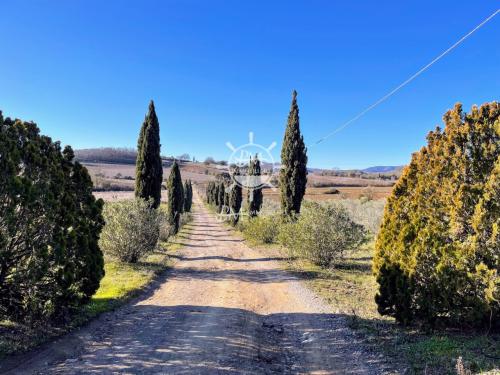 Podere in vendita a Gavorrano