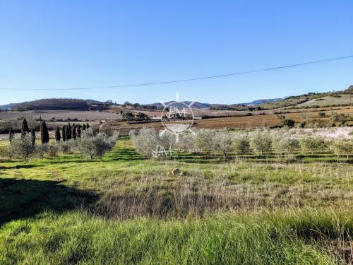 Podere in vendita a Gavorrano