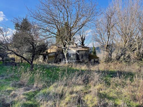 Cascina/Casale/Masseria in vendita a Montescudaio