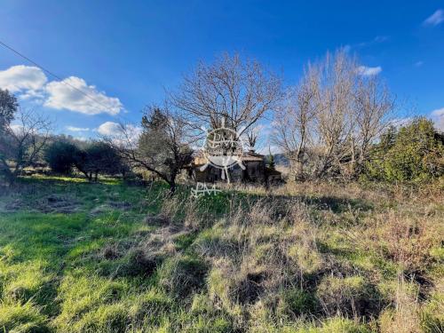 Cascina/Casale/Masseria in vendita a Montescudaio