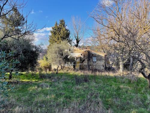 Cascina/Casale/Masseria in vendita a Montescudaio