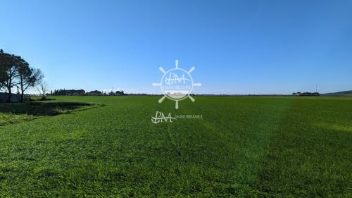 Terreno Agricolo in vendita a Grosseto