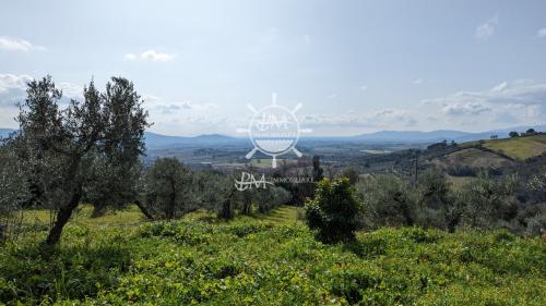 Cascina/Casale/Masseria in vendita a Roccastrada