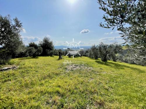 Cascina/Casale/Masseria in vendita a Roccastrada