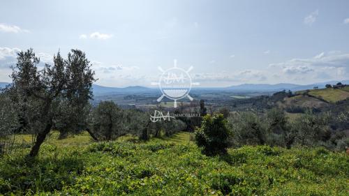 Cascina/Casale/Masseria in vendita a Roccastrada