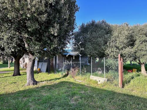 Podere in vendita a Castiglione della Pescaia