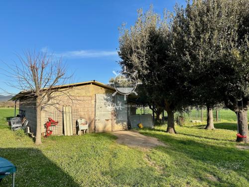 Podere in vendita a Castiglione della Pescaia