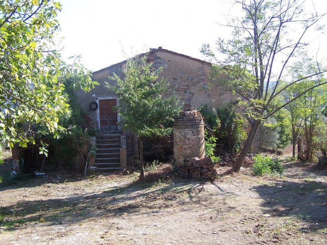 Rustico in vendita a Scansano