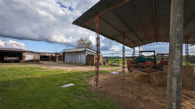 Podere in vendita a Roccastrada