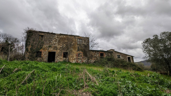 Rustico in vendita a Scansano