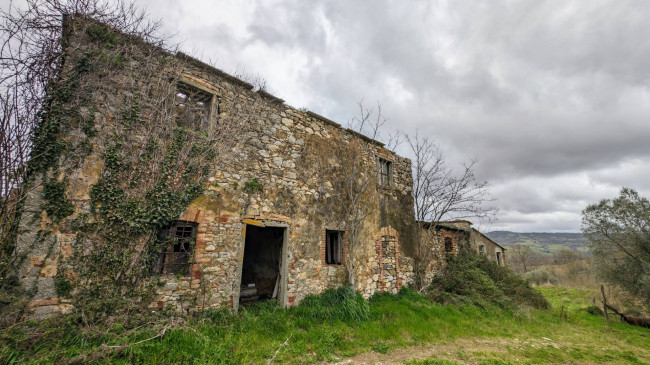 Rustico in vendita a Scansano