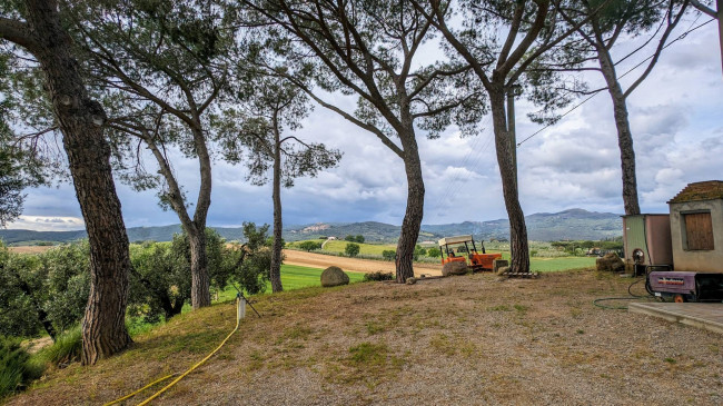 Podere in vendita a Roccastrada