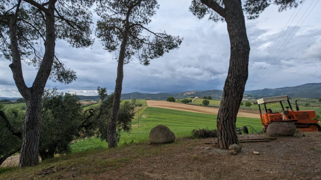 Podere in vendita a Roccastrada