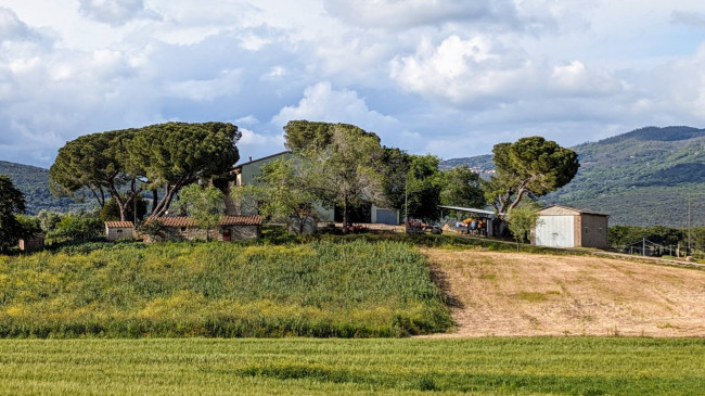 Podere in vendita a Roccastrada