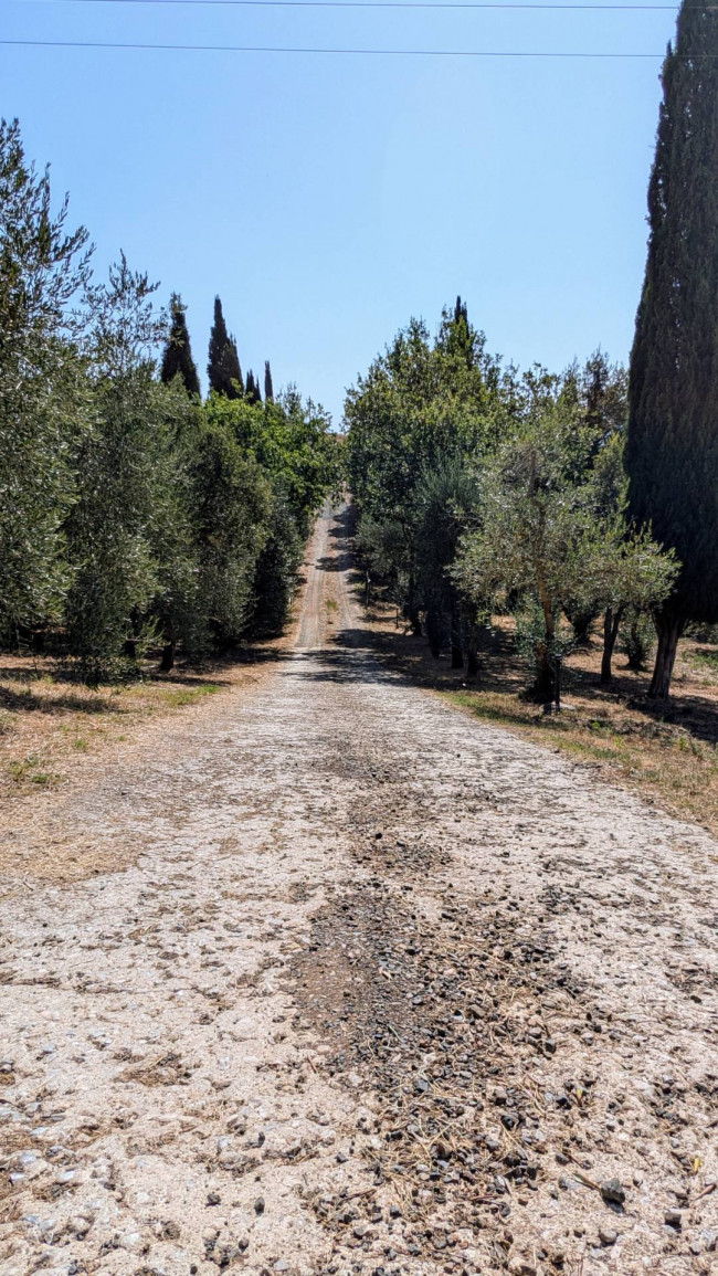 Podere in vendita a Roccastrada