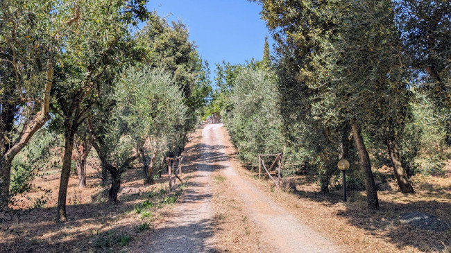 Podere in vendita a Roccastrada