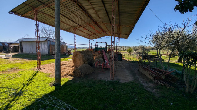 Podere in vendita a Roccastrada