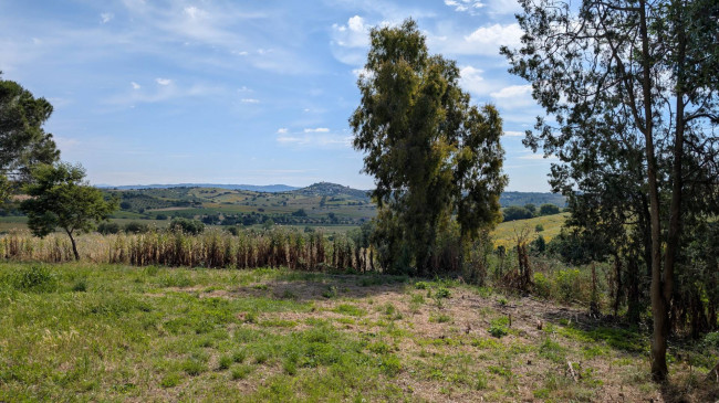 Cascina/Casale/Masseria in vendita a Magliano in Toscana