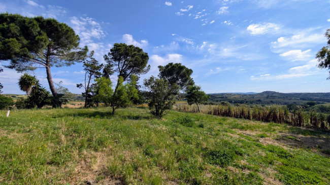 Cascina/Casale/Masseria in vendita a Magliano in Toscana